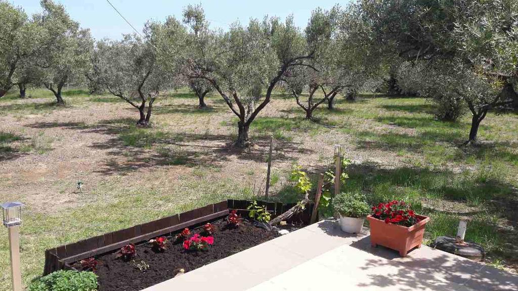 2Sea Villa Nea Potidea Chalkidiki מראה חיצוני תמונה